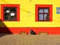 IMG 8403bigsig-Modifier  Barao de sao joao