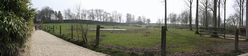 enclosafricain.jpg - enclos africain au fond  l'extrème gauche du parc, Zèbres et autruches s'y cotoient avec quelques canards, le moins que l'on puisse dire est qu'il est spacieux.