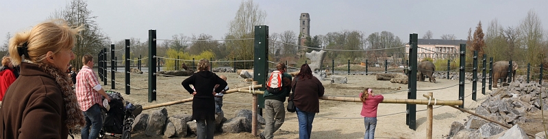 encloselephantfemelle.jpg - enclos des éléphants femelles