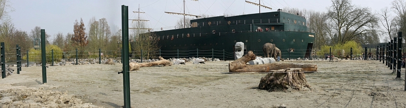 encloselephantsfemelles.jpg - enclos des éléphants femelles