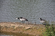 IMG_0677