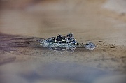 IMG_2975