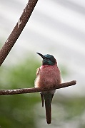 IMG_3019