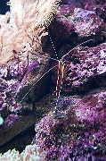 IMG_3182