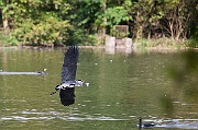 IMG_3265