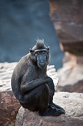 IMG_3322
