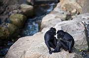 IMG_3332
