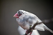 IMG_3334