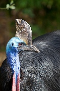 IMG_3346