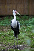 IMG_3348