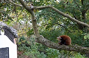 IMG_3372