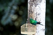 IMG_3378