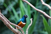IMG_3441