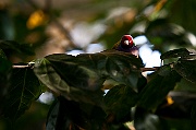 IMG_3484