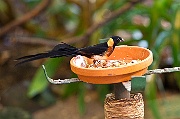 IMG_3490