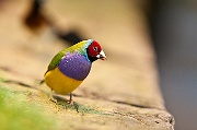 IMG_3504