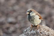 IMG_3541