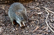 IMG_3557