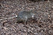IMG_3578