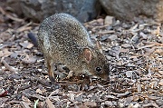 IMG_3608