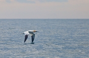 IMG_0087_1