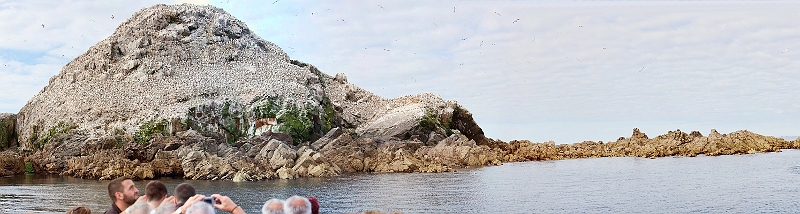 pano1.jpg - ile aux oiseaux
