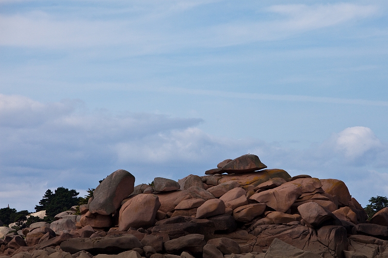 IMG_6950.jpg - Tortue