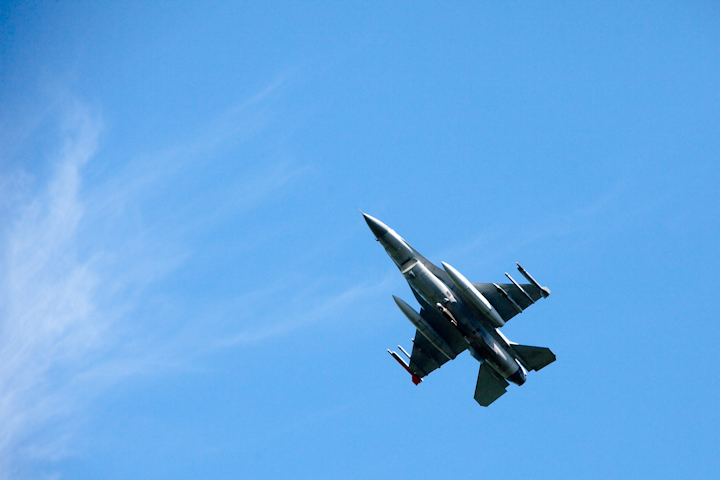 IMG_1265.jpg - sais pas , mais il est passé près ce supersonique et a provoqué une mini panique parmis les ours bruns