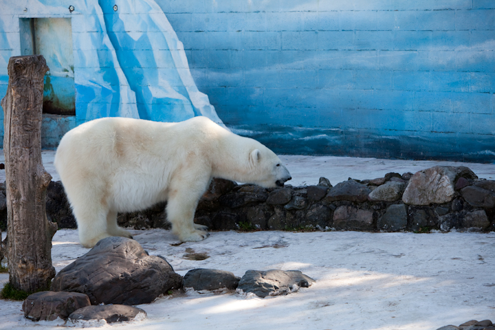 IMG_1279.jpg - Blanc