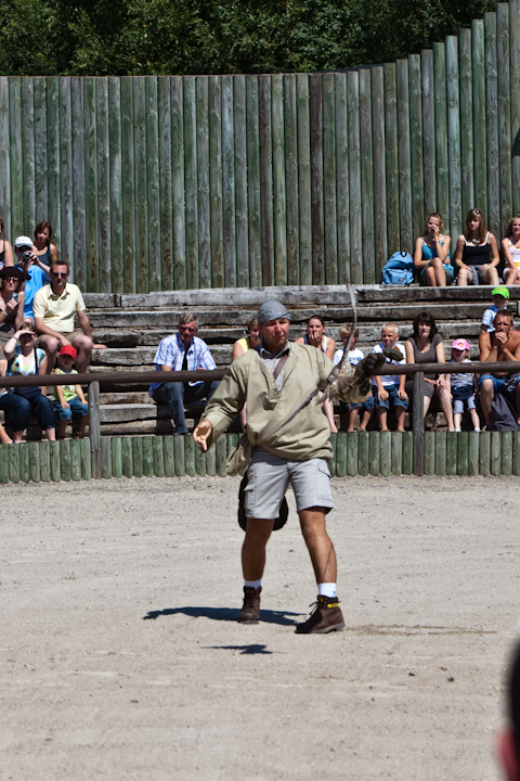 IMG_1571.jpg - faucon en plein vol