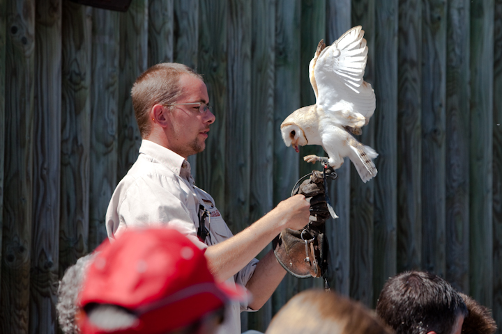 IMG_1613.jpg - effraie des clocher