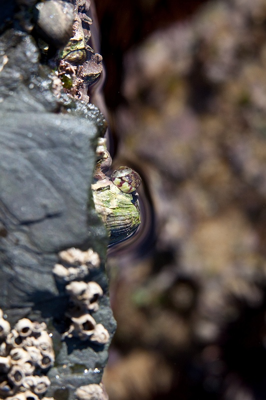 IMG_6445.jpg - praia monte clerigo