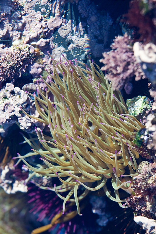 IMG_6461.jpg - praia monte clerigo