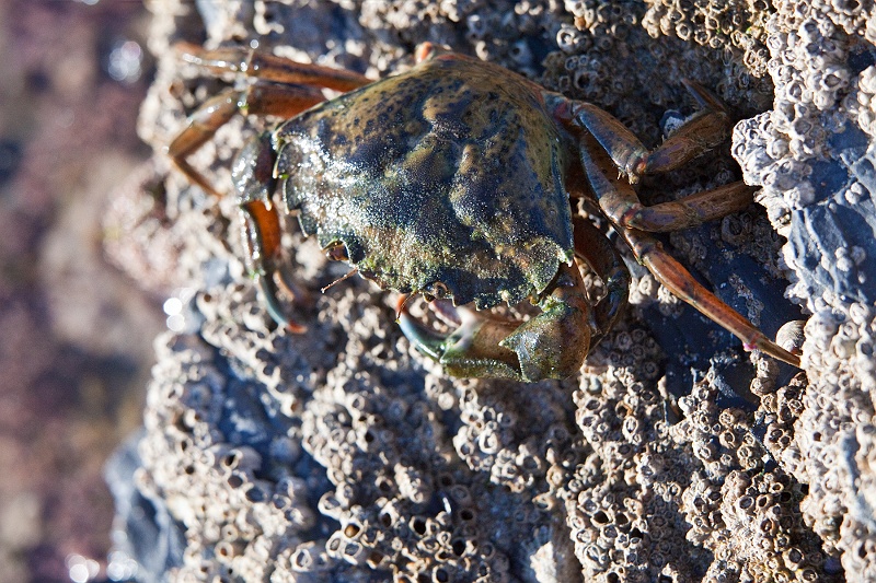 IMG_6550.jpg - praia monte clerigo