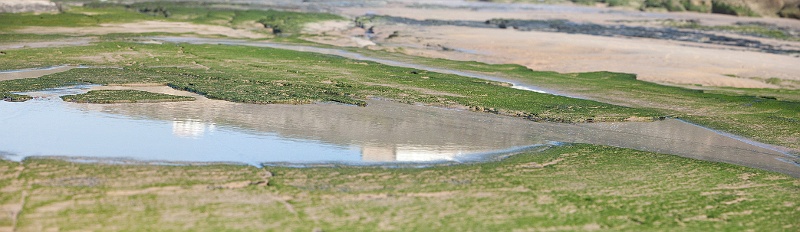 nd.jpg - (monte clerigo, algarve) plage