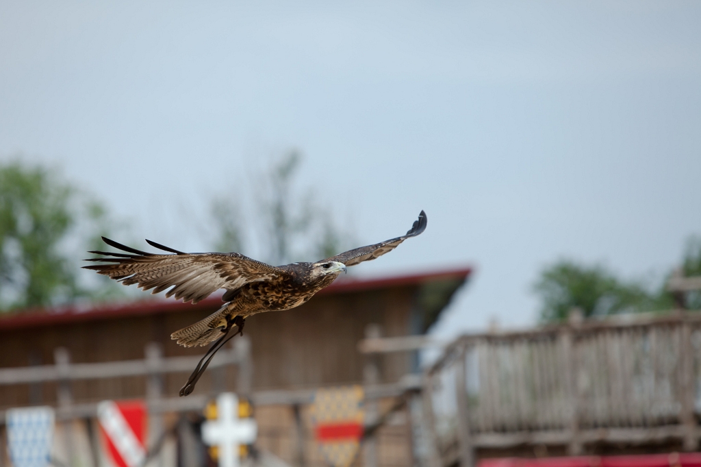 IMG_4820.jpg
