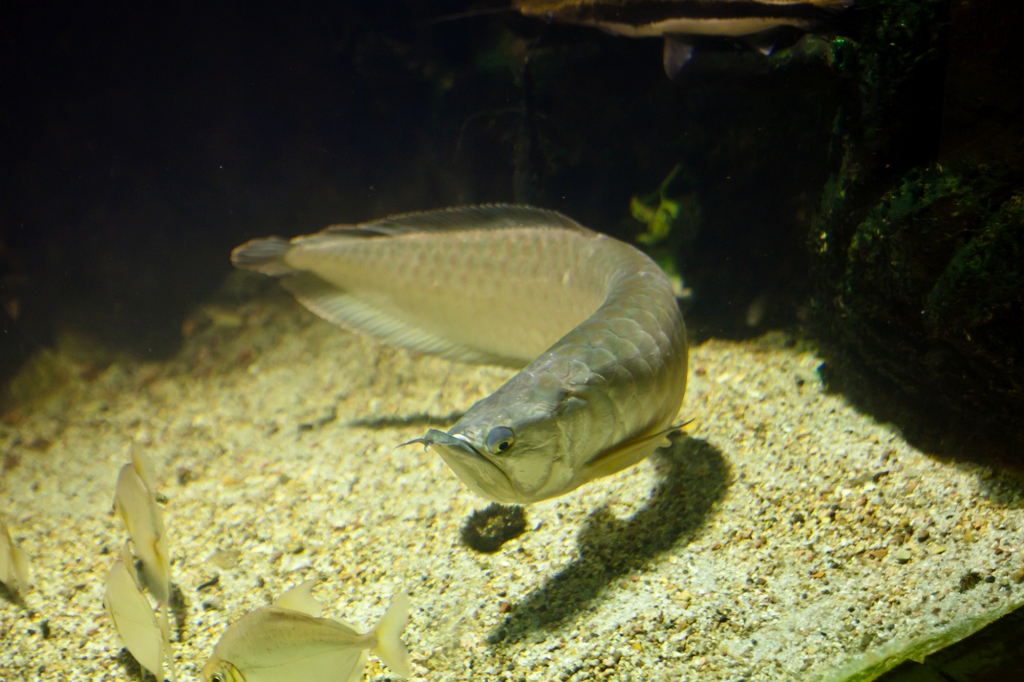 IMG_1283.jpg