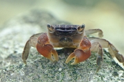 IMG_1181-Modifier