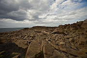 IMG_0919