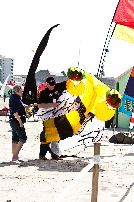 IMG_9211.jpg - ce n'est pas aussi simple queça en avoir l'air