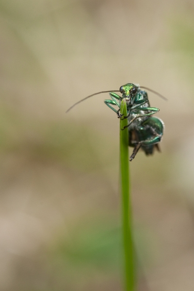IMG_3355.jpg - pas trouvé