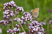 IMG_8686