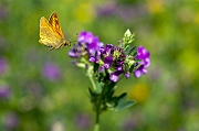 IMG_8902