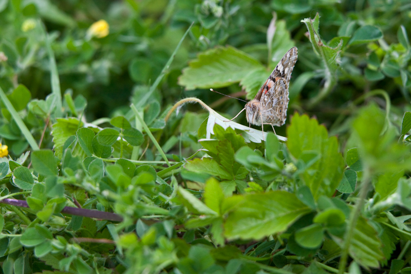 IMG_9842.jpg
