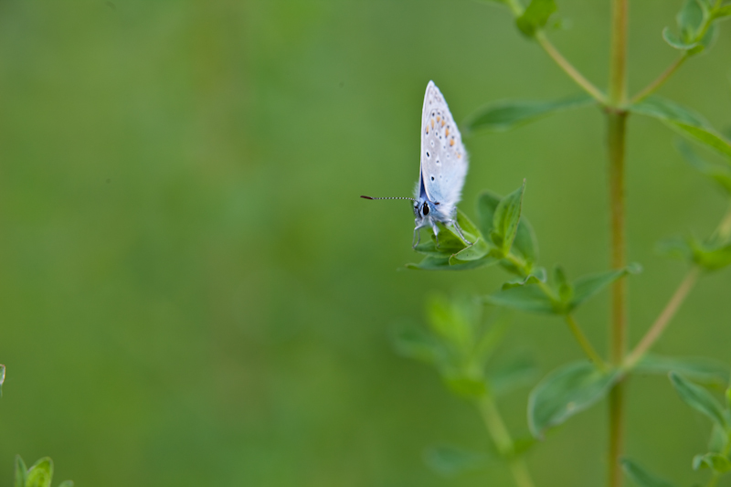 IMG_9898.jpg