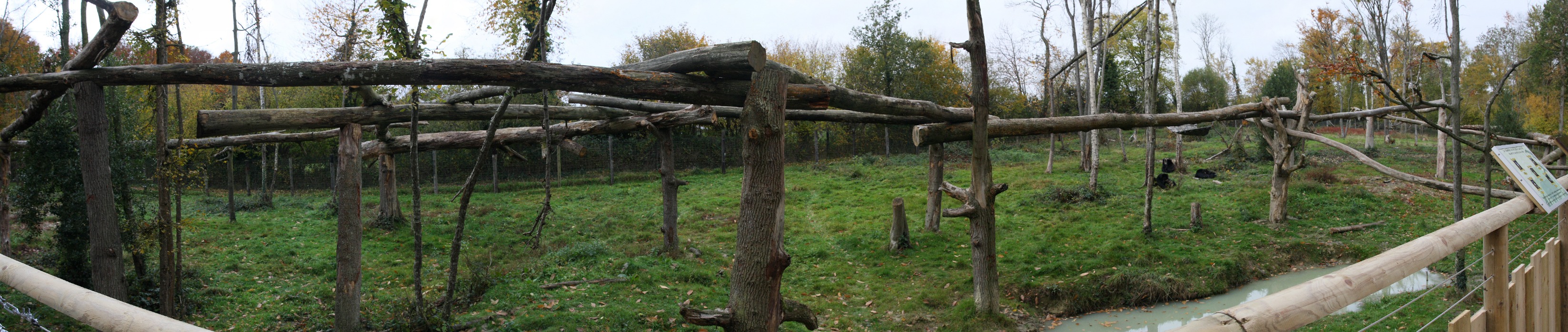 oursAlunettes.jpg - Stitched Panorama