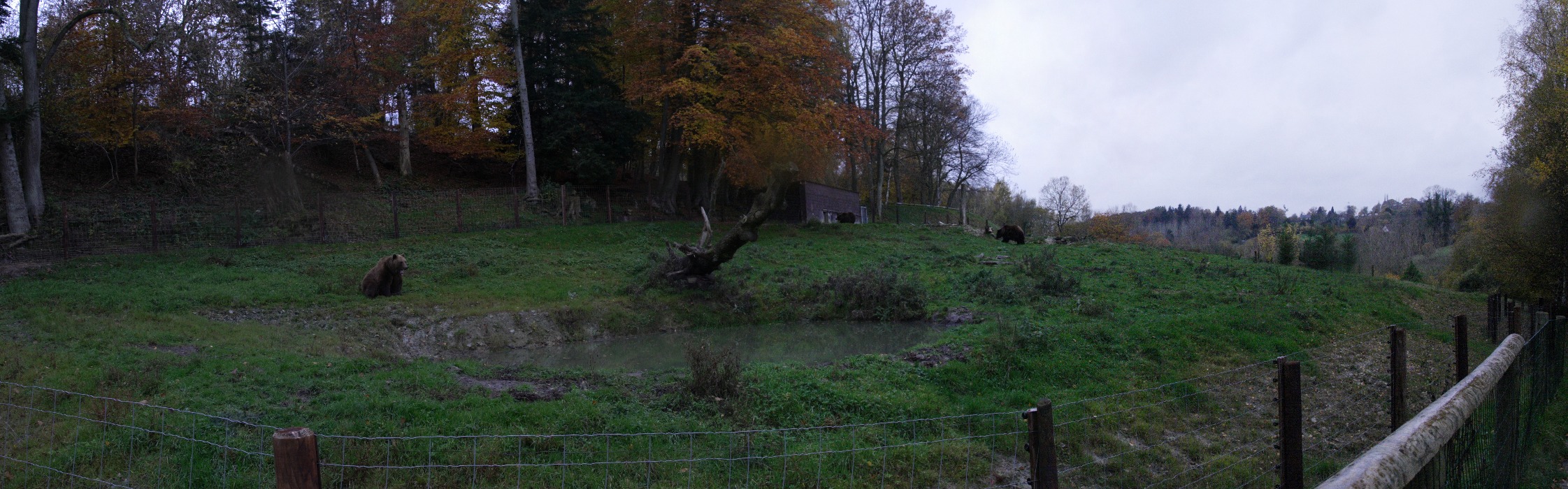 oursbrun2.jpg - 6 images, Taille: 2243 x 700, FOV: 112.95 x 35.23, RMS: 2.98, Lentille: Standard, Projection: Spherique, Couleur: LDR