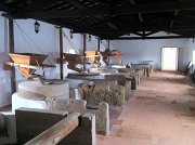 IMG_0208