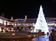 IMG_0211