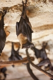 IMG_9789
